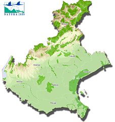 Webgis Natura 2000